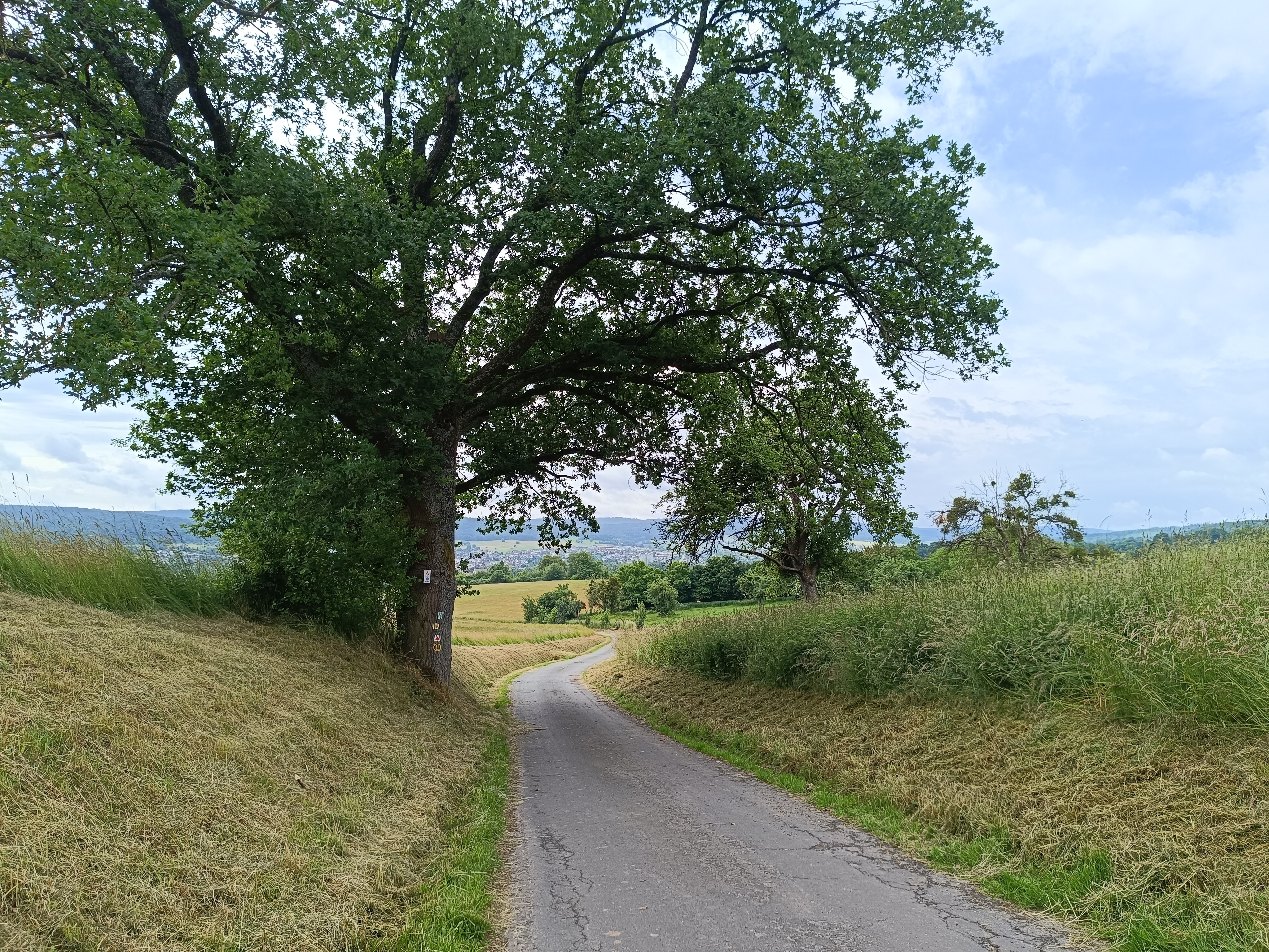 Oberhalb Steinbach Foto Oberhalb Steinbach