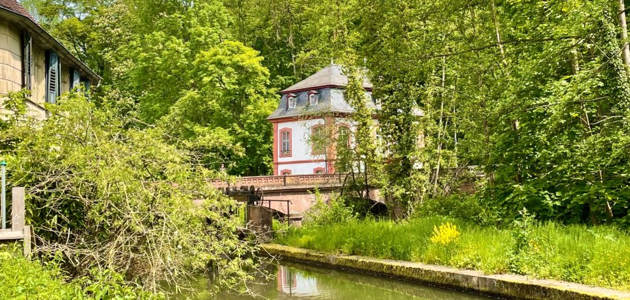 Mümling beim Fürstenauer Schlosspark 