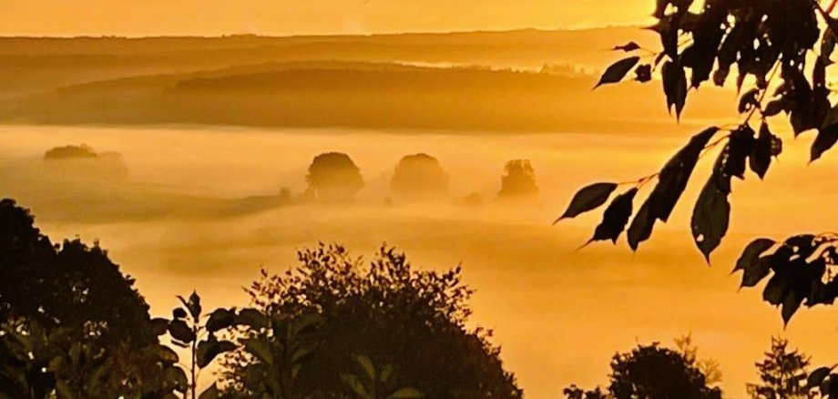 Die Spreng im Nebel