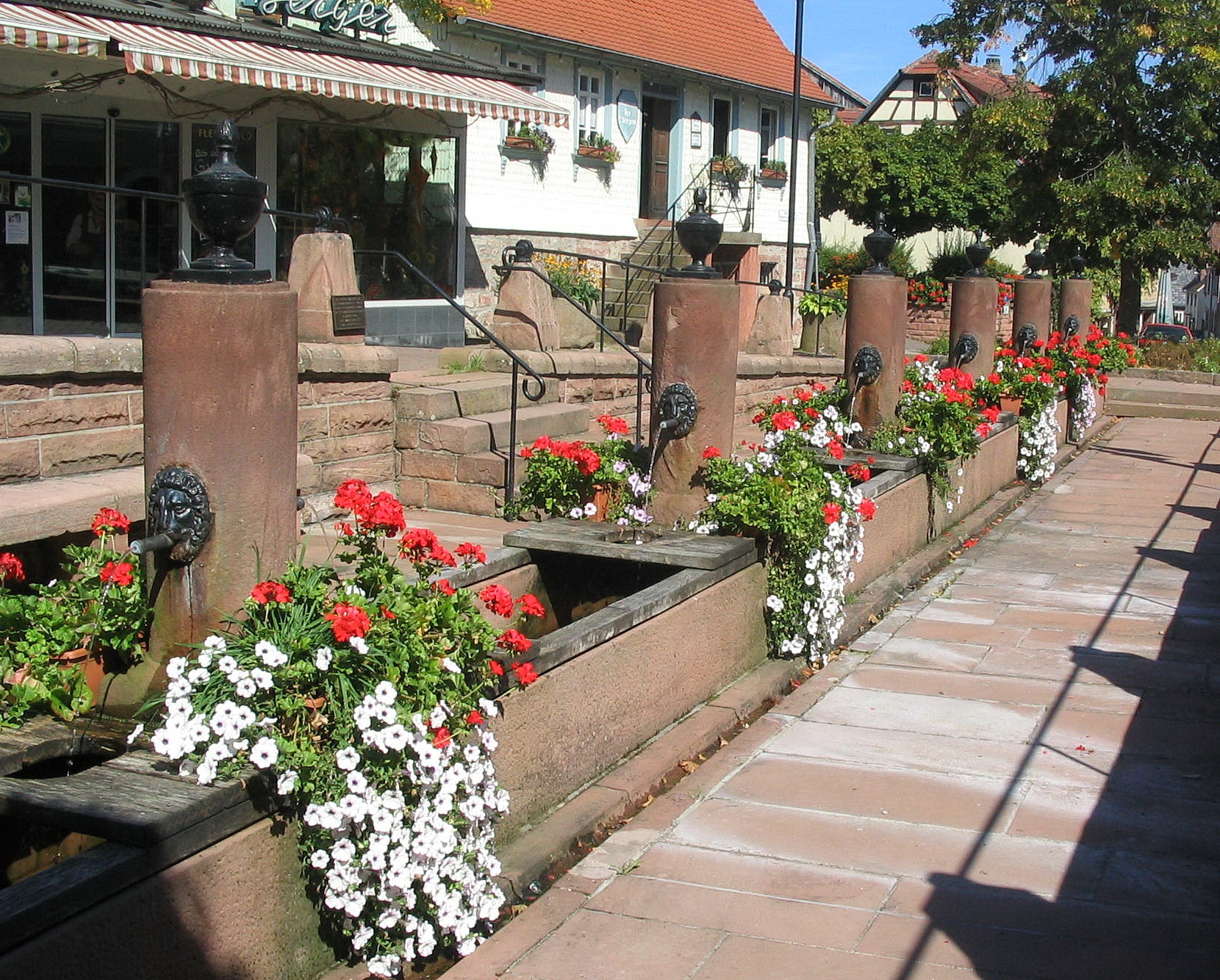 Mümlingquelle in Beerfelden