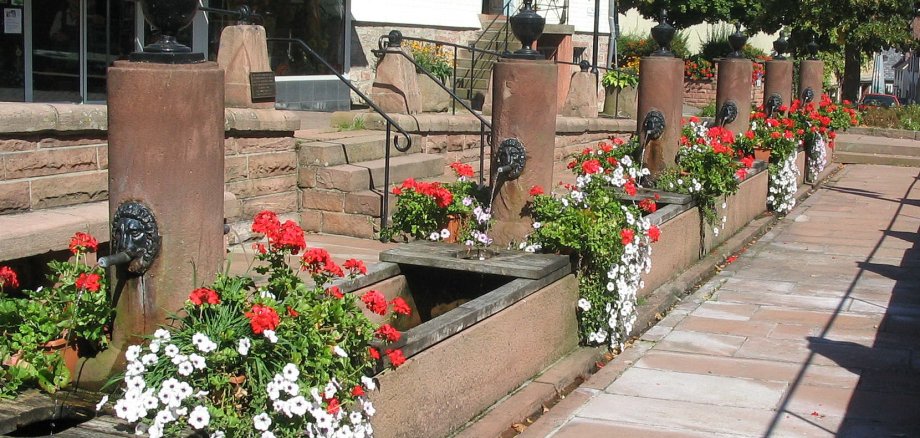 Mümlingquelle in Beerfelden