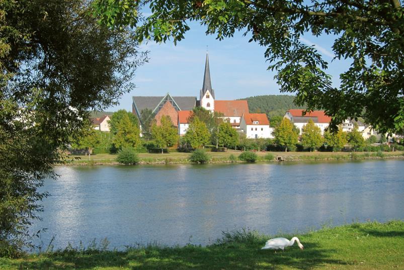 Blick auf die Stadt Erlenbach