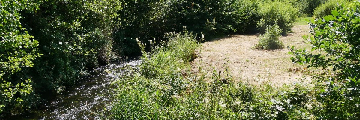 Foto des Fauna-Flora-Habitat-Gebiets Euterbach und Itterbach 