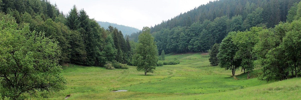 Foto des Naturschutzgebiets Eutergrund 