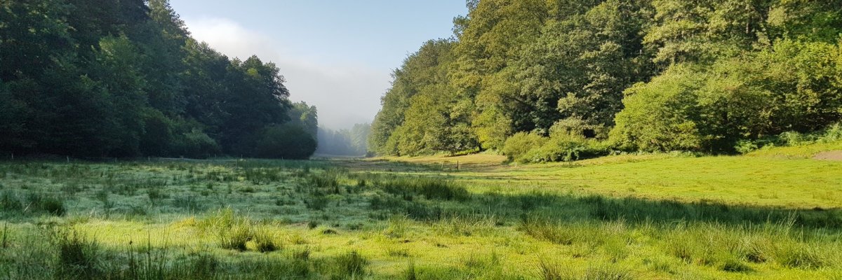 Foto des Naturschutzgebiets Hinterbachtal 