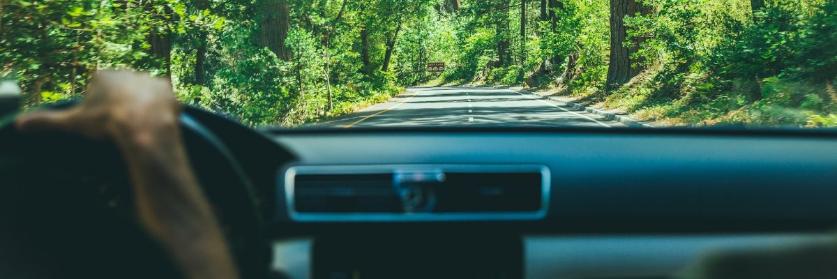 Das Bild zeigt den Blick durch die Frontscheibe eines Autos auf eine Allee