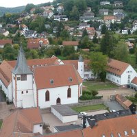 Das Bild zeigt das Kloster Höchst von oben