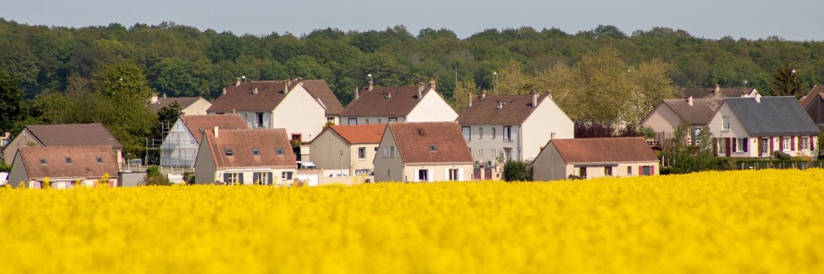 Hinter einem Rapsfeld ist ein Dorf zu sehen