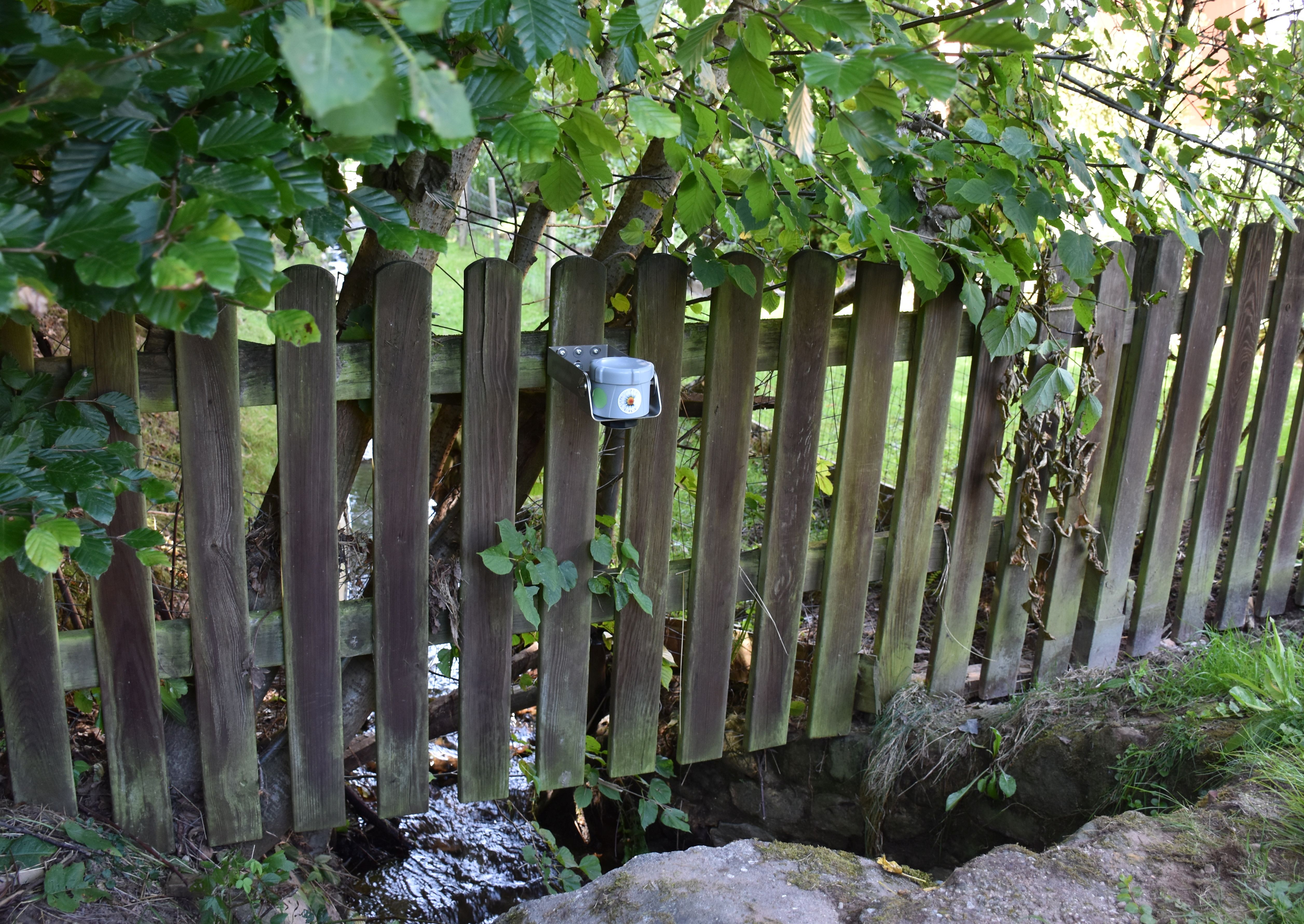 Das Foto zeigt einen Wassersensor über dem Güttersbach in Mossautal.