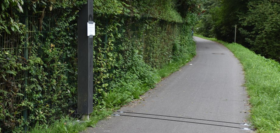Das Foto zeigt eine Radverkehr-Messstation an einem Radweg in Erbach.