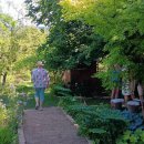 Besucher schauen sich den Garten von Tina König an.