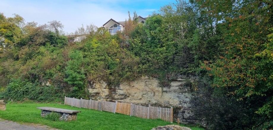 Das Foto zeigt die bewachsene Felswand am Erdbach-Einschlupf.