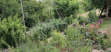 Blick in den Garten von Claudia und David Scholz