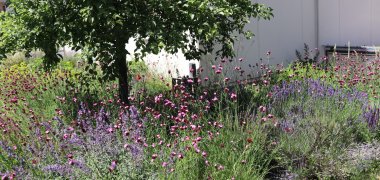 Blick in den Garten von Petra und Andreas Kunz