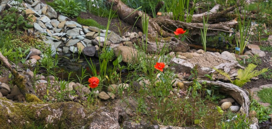 Foto zur Aktion Gartenvielfalt