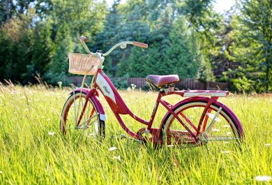 Fahrrad auf einer Wiese