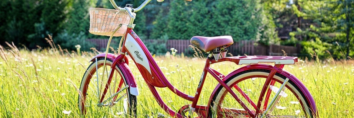 Fahrrad auf einer Wiese