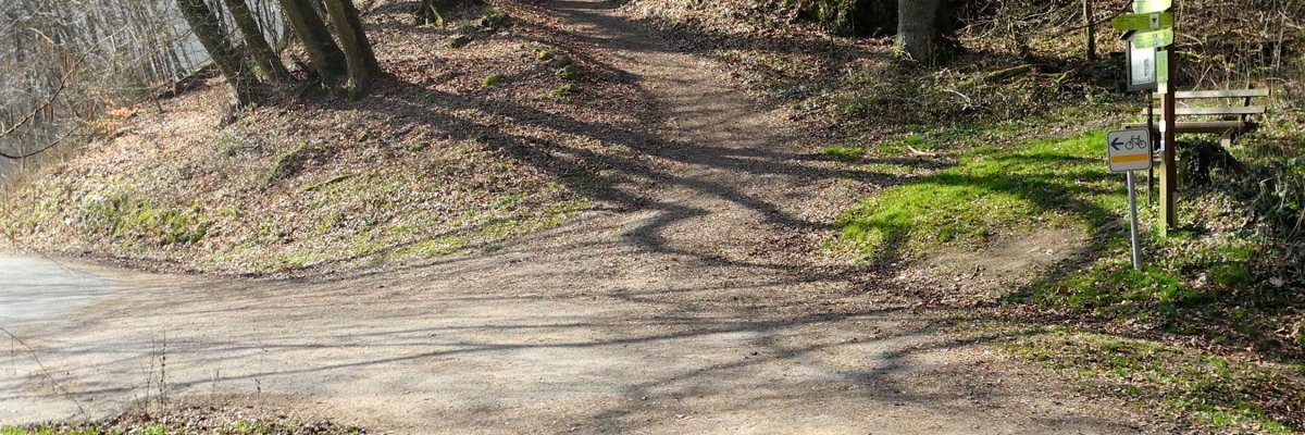 Fahrradweg im Wald
