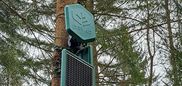 Sensor an Baum