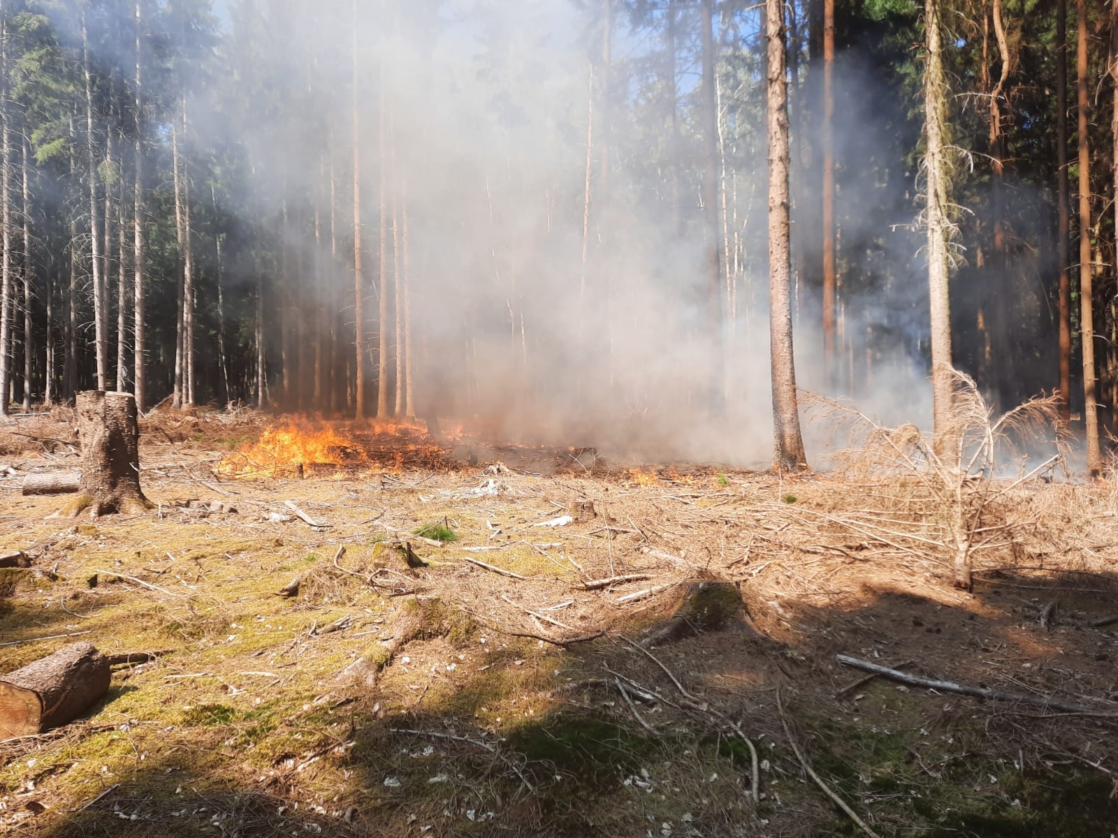 Waldbrand