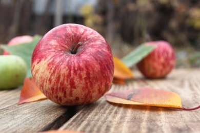 Apfel Foto Apfel
